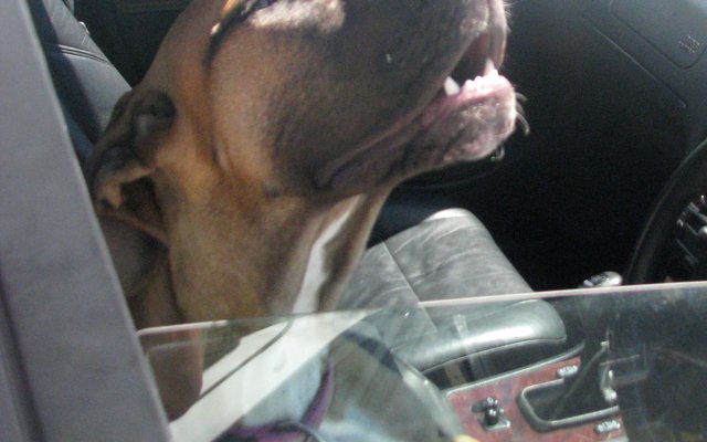 As dít darem nou nie “mooi vra en soebat om hulp is nie”, wat kan dan wees?!